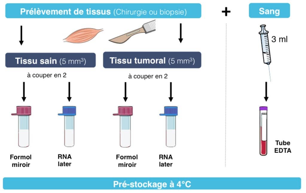 comment participer biobanque